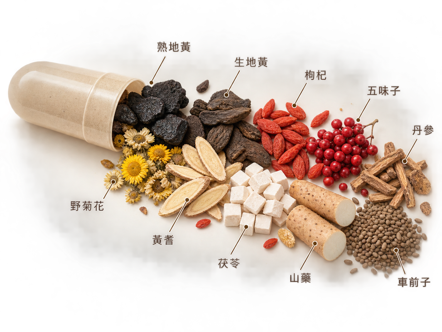 草本固齿胶囊十味草本标注图：熟地黄、生地黄、枸杞、五味子、丹参、野菊花、黄芪、茯苓、山药、车前子