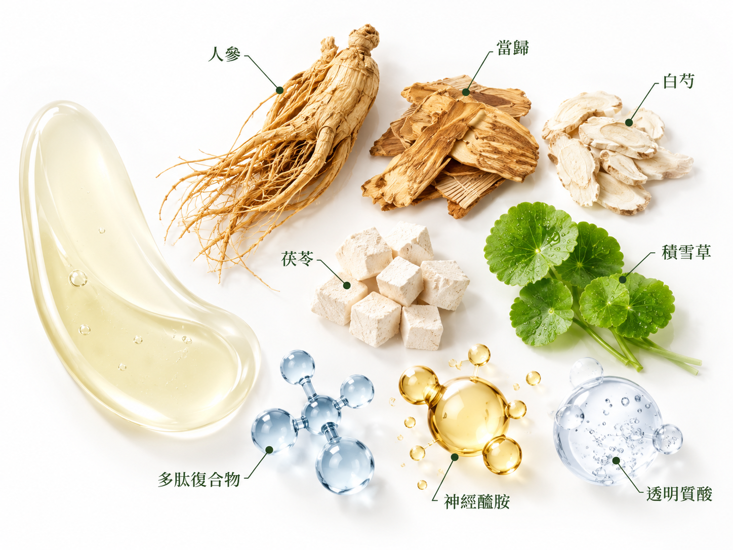 草本焕颜提升精华液成分标注图：人参、当归、白芍、茯苓、积雪草、多肽复合物、神经酰胺、玻尿酸