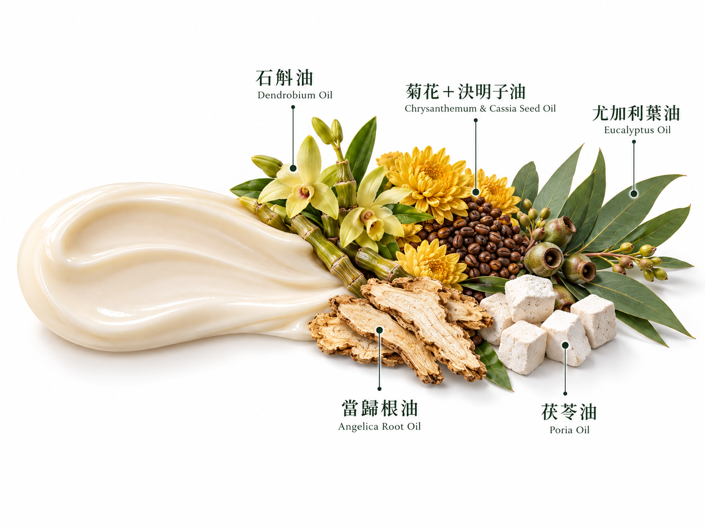 草本舒缓修护眼霜成分标注图:石斛油、菊花+决明子油、尤加利叶油、当归根油、茯苓油
