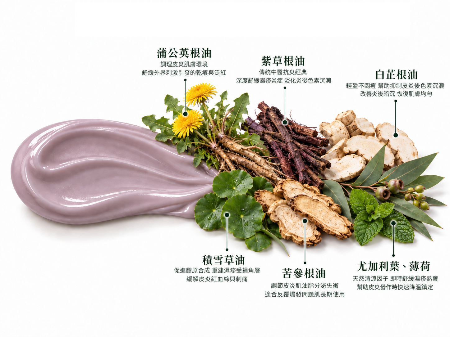 草本舒缓修护霜成分标注图：蒲公英根油、紫草根油、白芷根油、积雪草油、苦参根油、尤加利叶、薄荷
